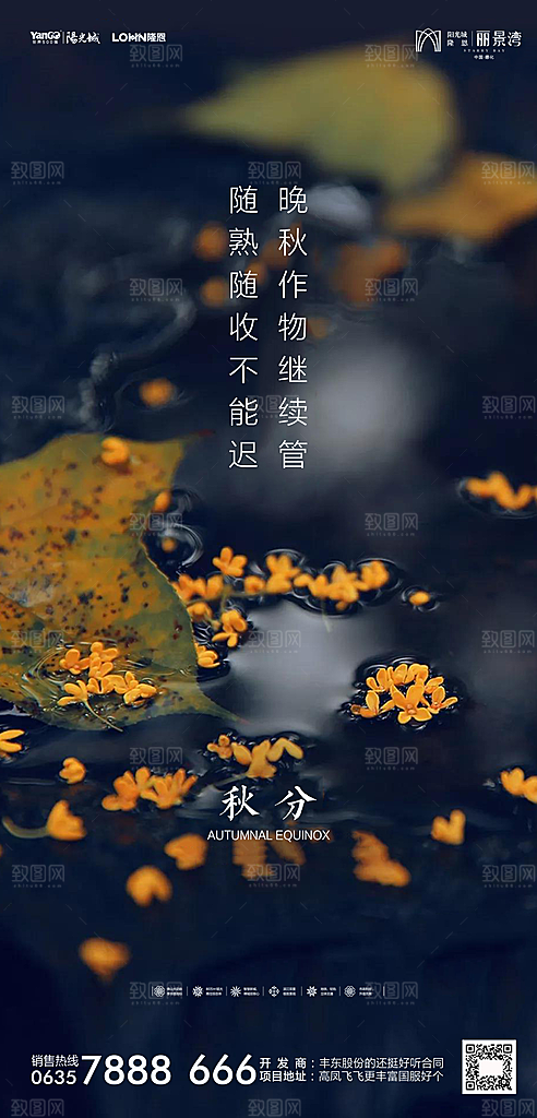地产秋分节气简约大气海报