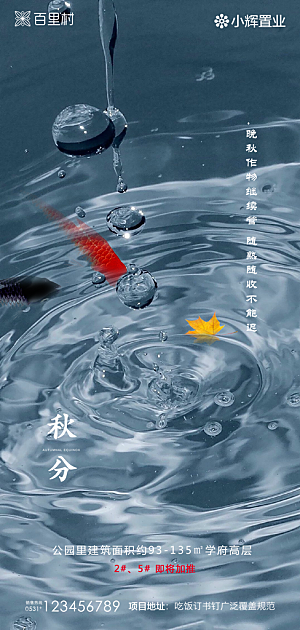 地产秋分节气简约大气海报
