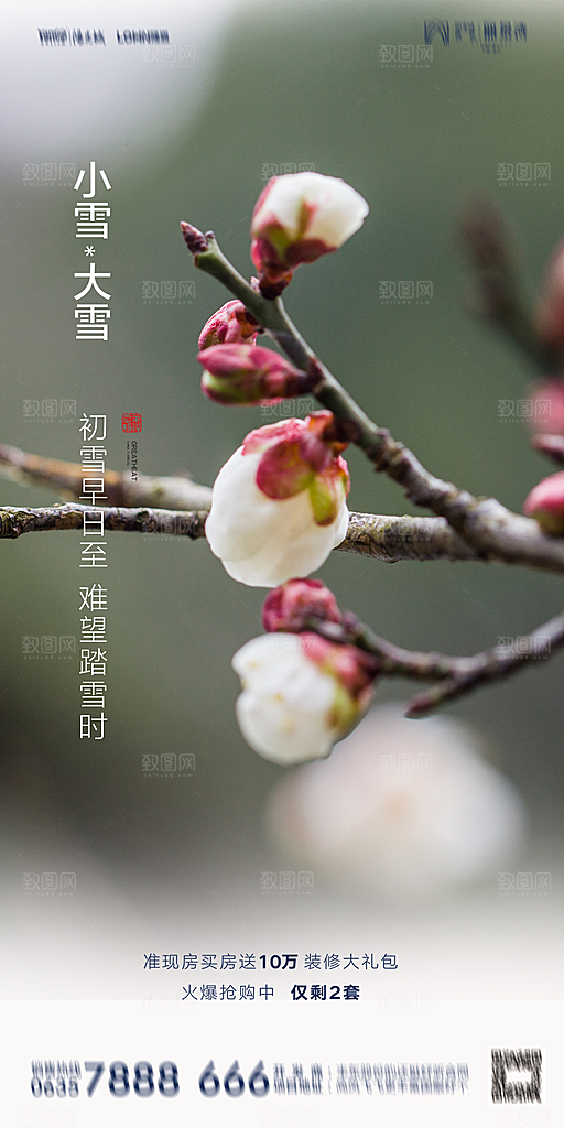 地产小雪节气简约大气海报