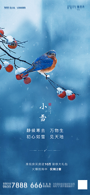 地产小雪节气简约大气海报