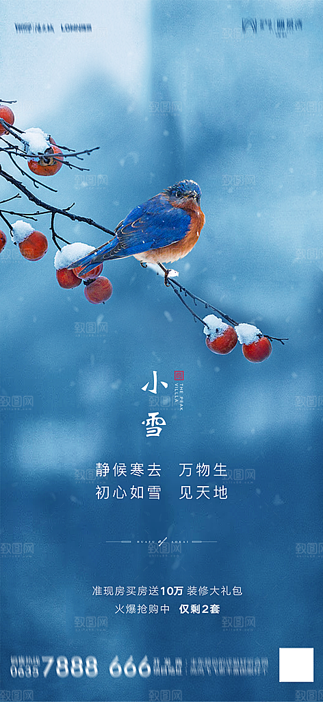 地产小雪节气简约大气海报