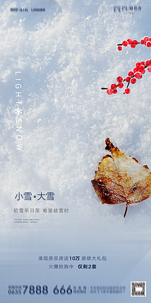 地产小雪节气简约大气海报