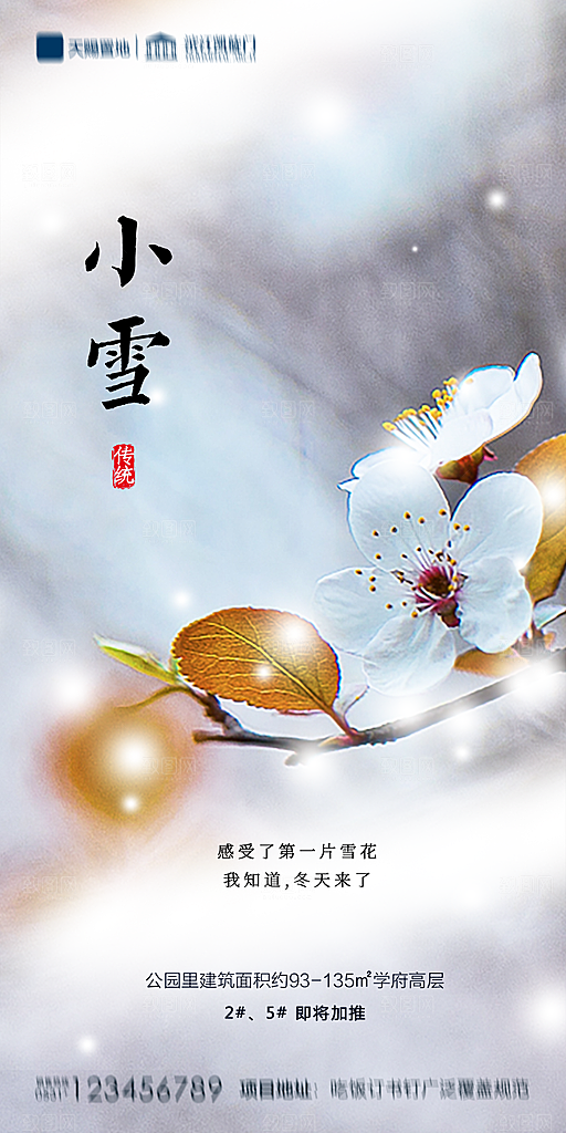地产小雪节气简约大气海报