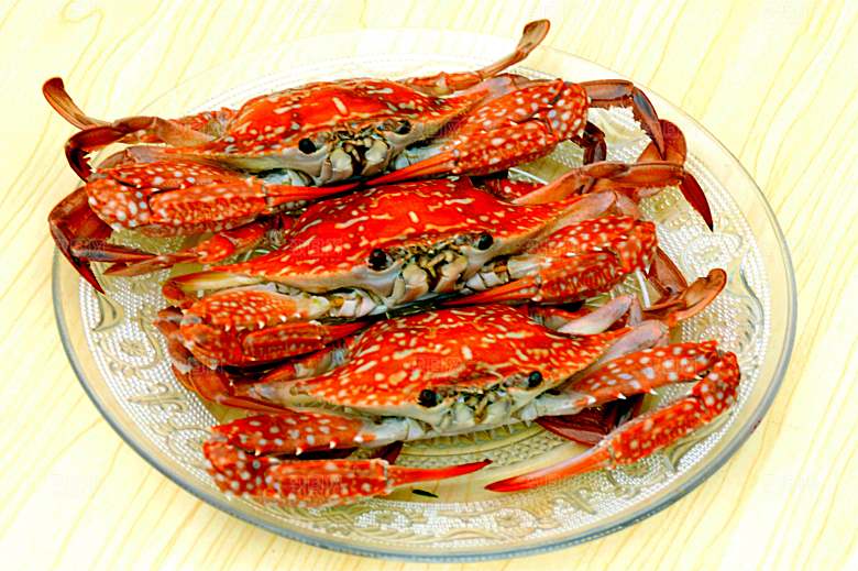 几只海洋大花蟹大螃蟹