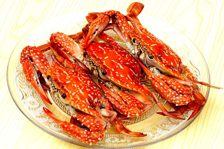 几只海洋大花蟹大螃蟹