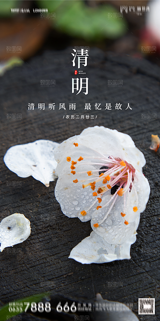 地产清明节节日简约大气海报