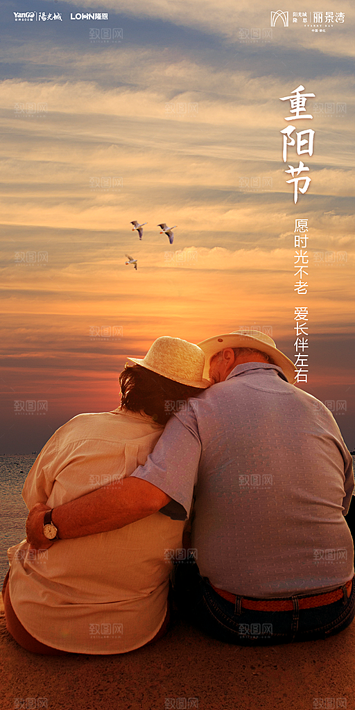 地产重阳节节日简约大气海报