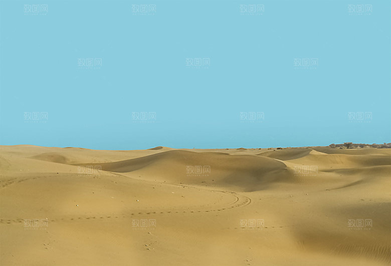沙漠骆驼高清摄影大图