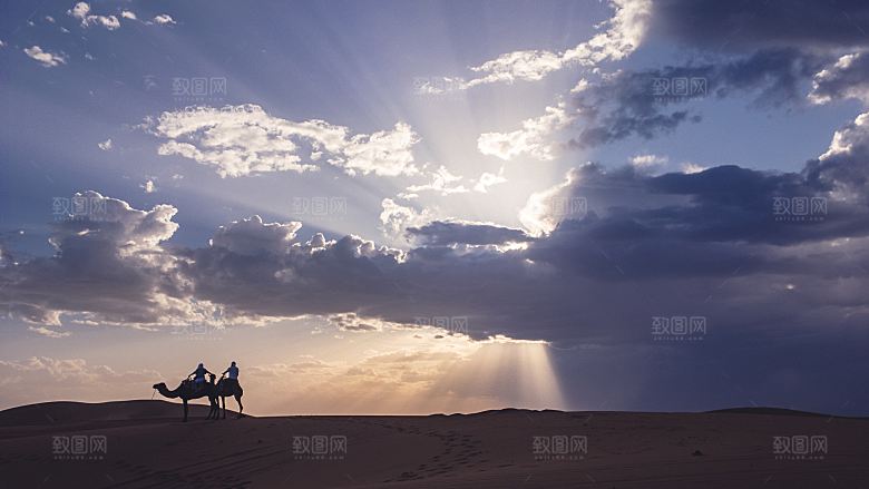 沙漠骆驼高清摄影大图
