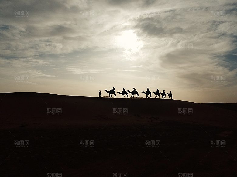 沙漠骆驼高清摄影大图