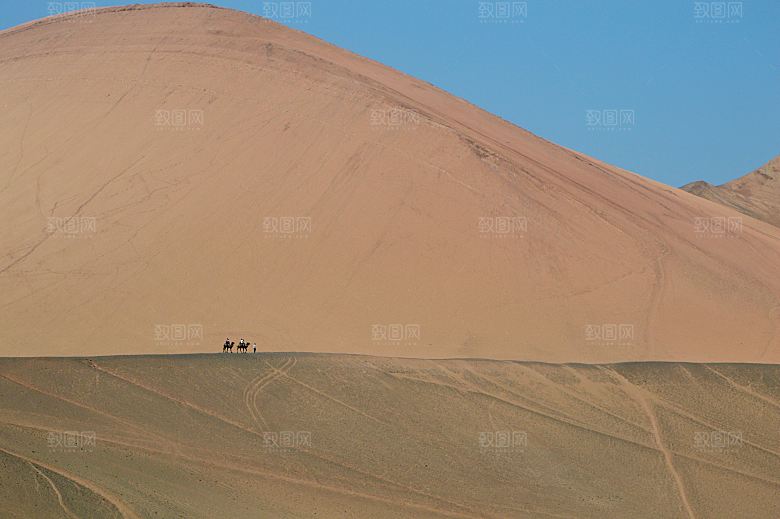 沙漠骆驼高清摄影大图