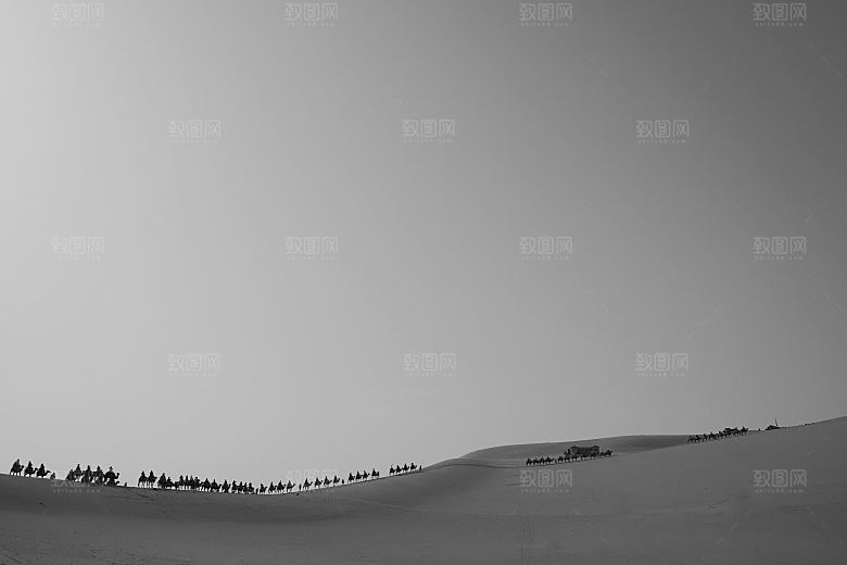 沙漠骆驼高清摄影大图