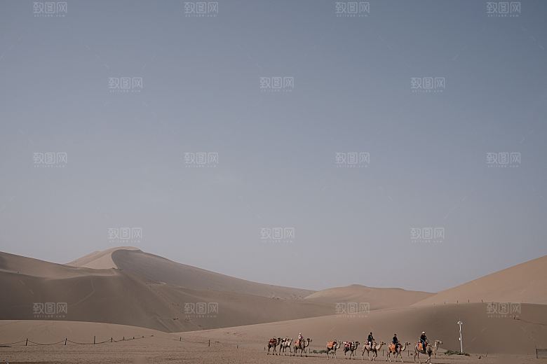 沙漠骆驼高清摄影大图