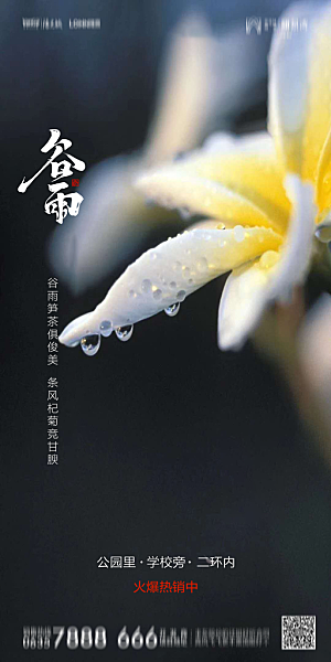 地产谷雨节气简约大气海报