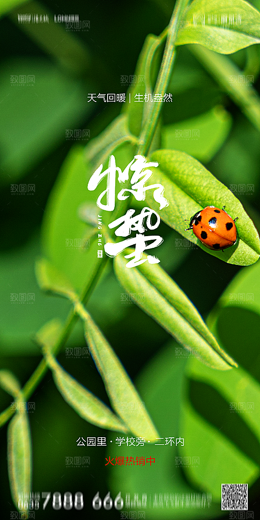 地产惊蛰节气简约大气海报