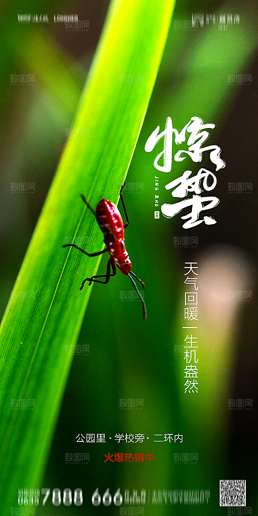 地产惊蛰节气简约大气海报