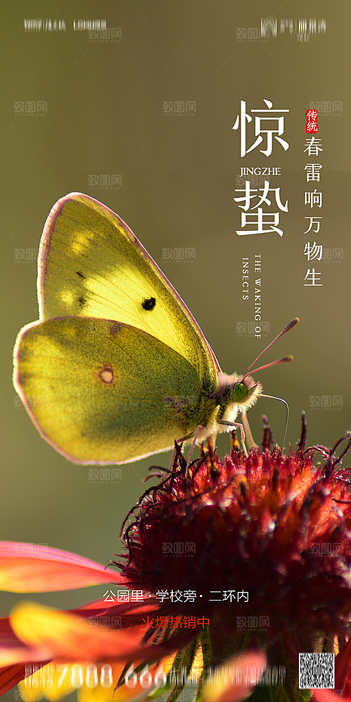地产惊蛰节气简约大气海报