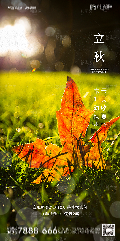 地产立秋节气简约大气海报