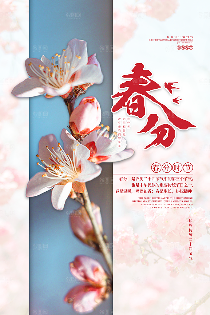 传统节气春分节气海报