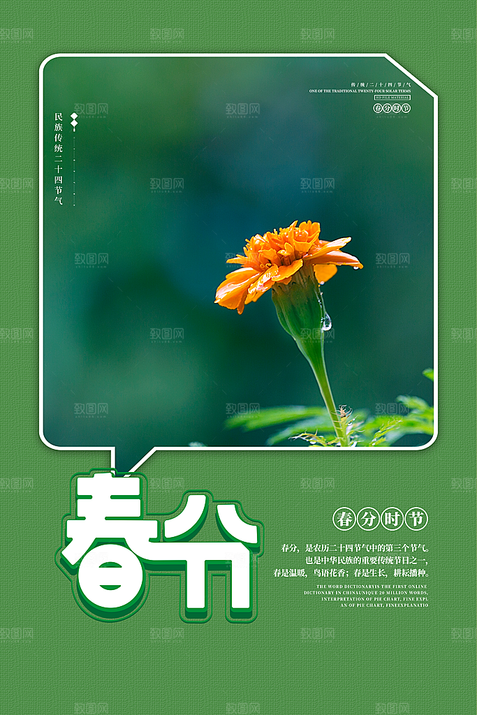 传统节气春分节气海报