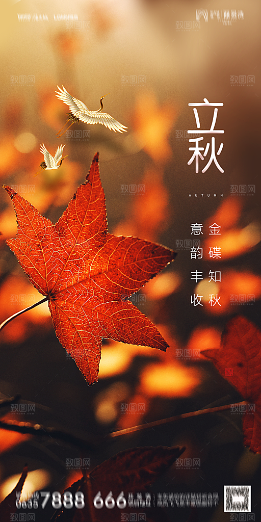 地产立秋节气简约大气海报