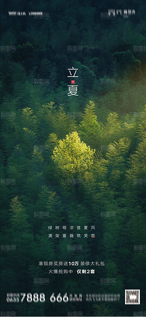 地产立夏节气简约大气海报