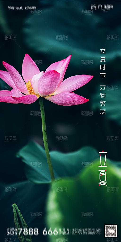 地产立夏节气简约大气海报