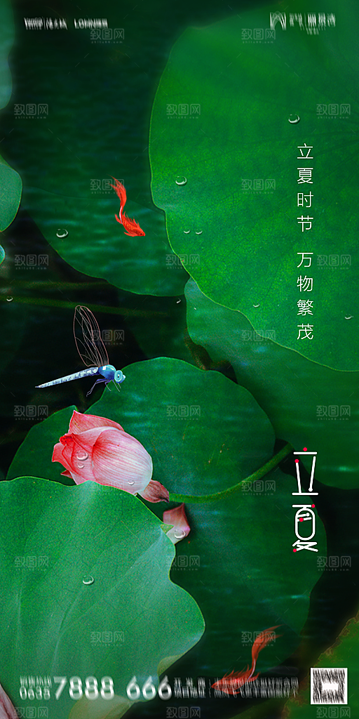 地产立夏节气简约大气海报
