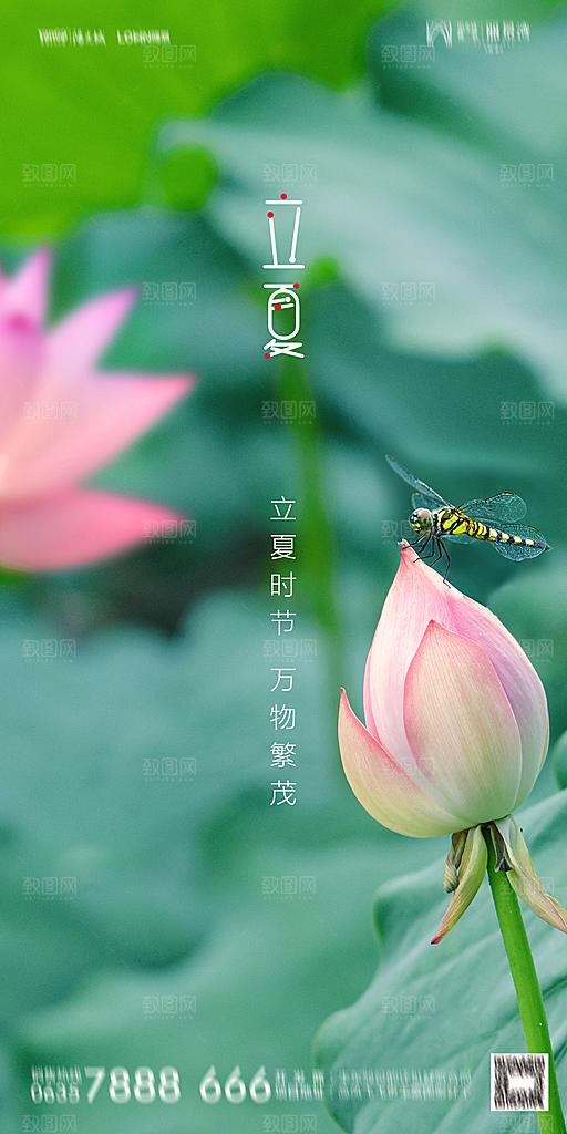 地产立夏节气简约大气海报