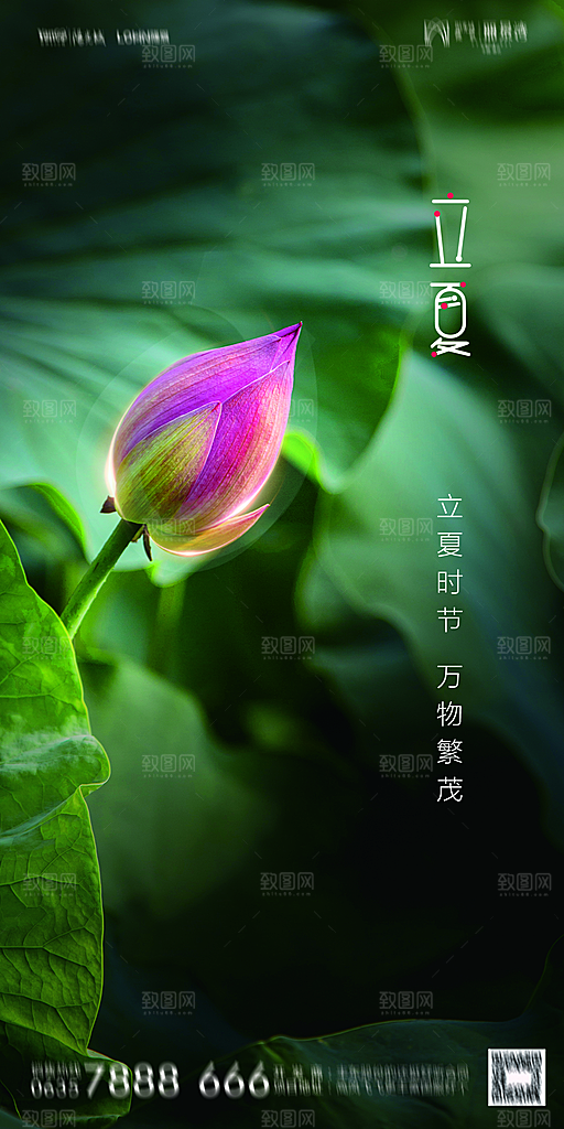 地产立夏节气简约大气海报