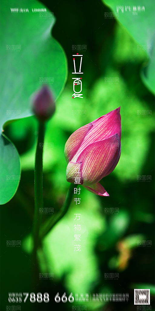 地产立夏节气简约大气海报