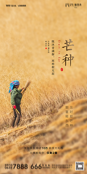地产芒种节气简约大气海报