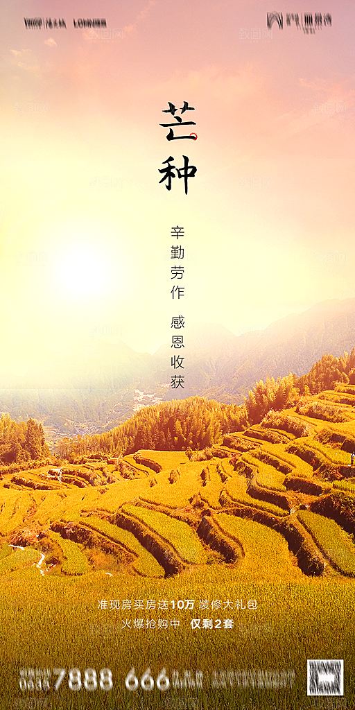 地产芒种节气简约大气海报