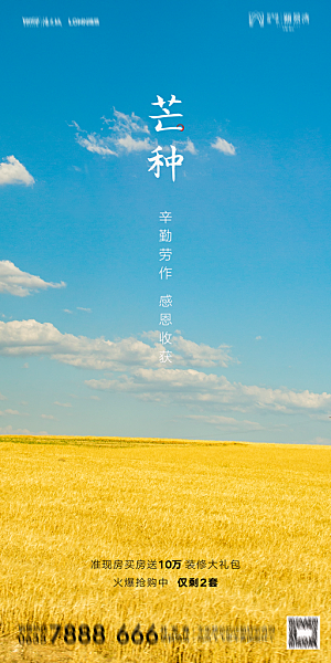 地产芒种节气简约大气海报