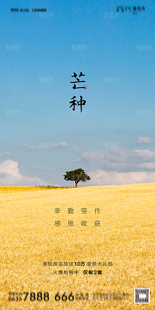 地产芒种节气简约大气海报