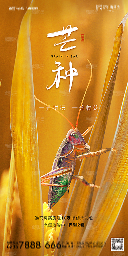 地产芒种节气简约大气海报
