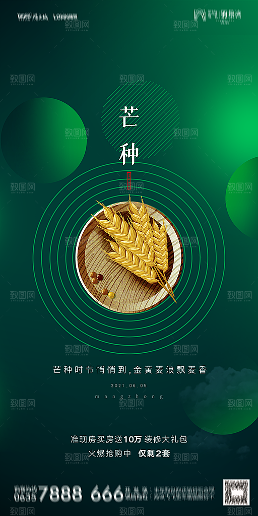 地产芒种节气简约大气海报