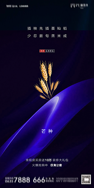 地产芒种节气简约大气海报