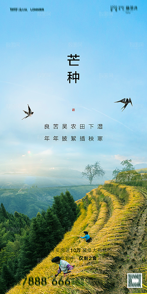 地产芒种节气简约大气海报