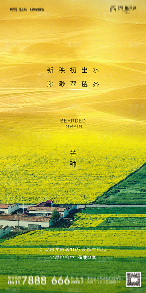 地产芒种节气简约大气海报