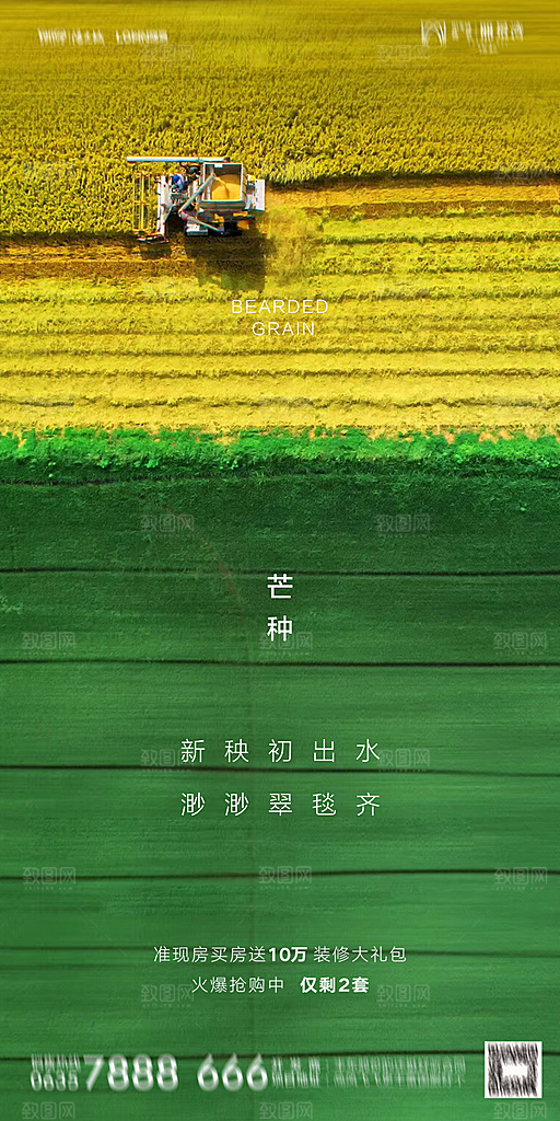 地产芒种节气简约大气海报