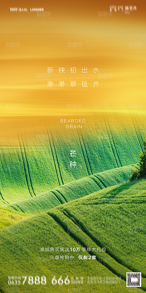 地产芒种节气简约大气海报