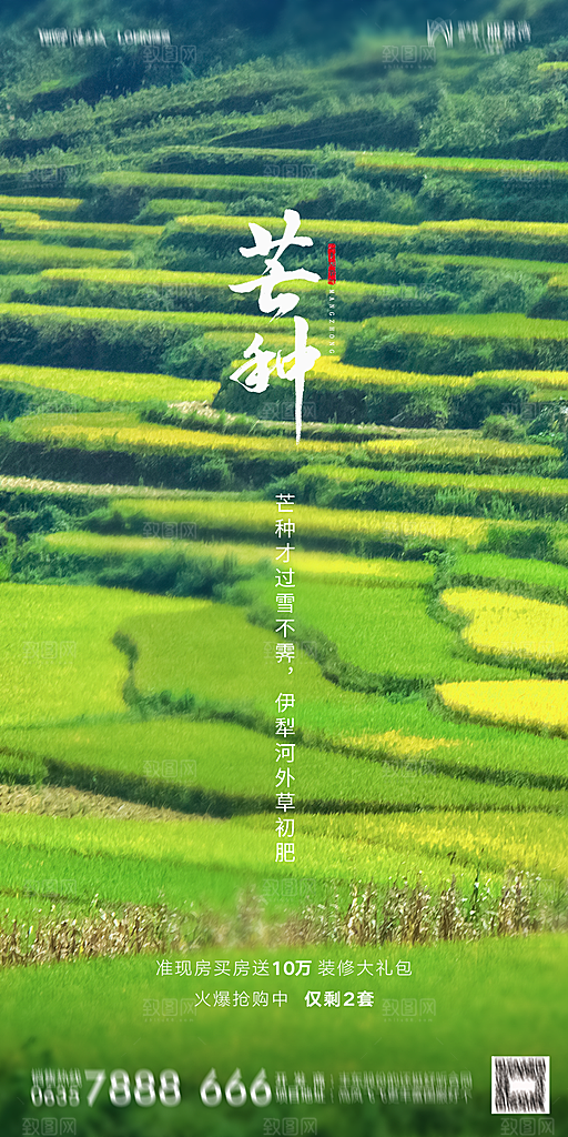 地产芒种节气简约大气海报