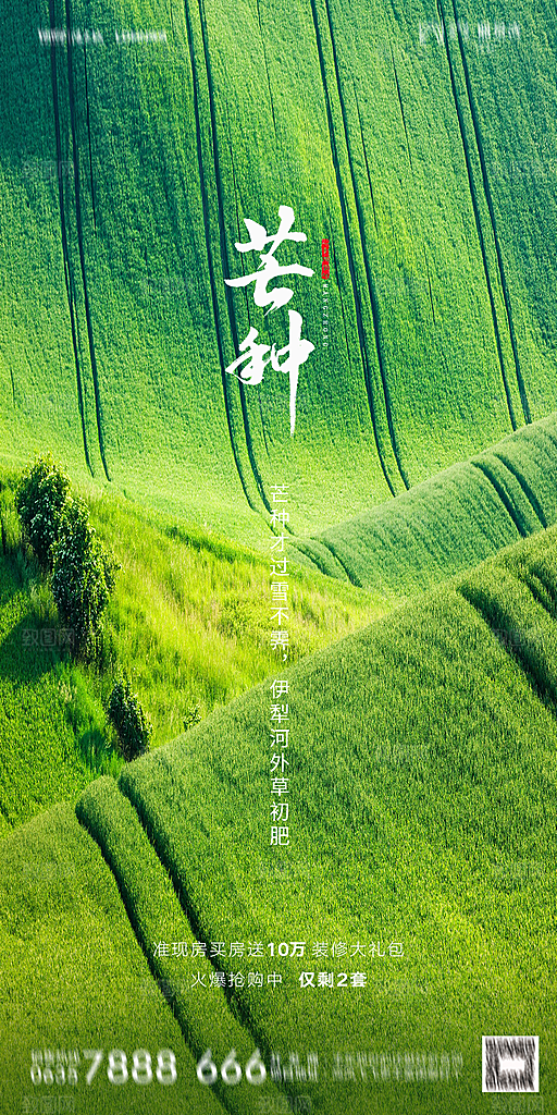 地产芒种节气简约大气海报