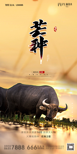 地产芒种节气简约大气海报