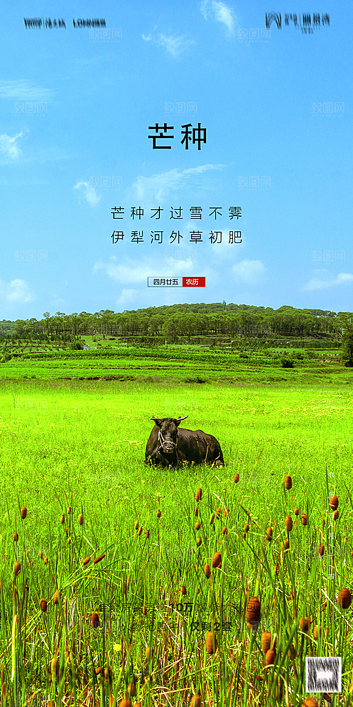 地产芒种节气简约大气海报