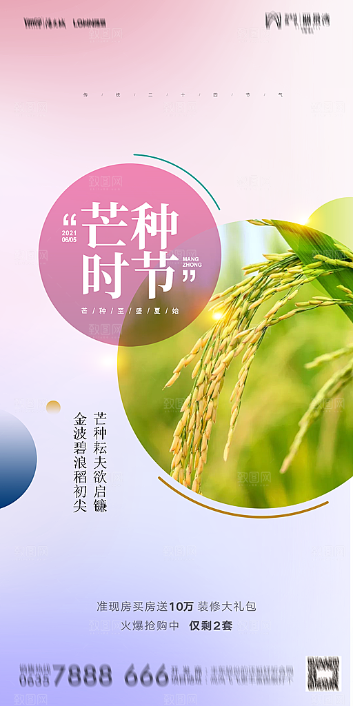 地产芒种节气简约大气海报