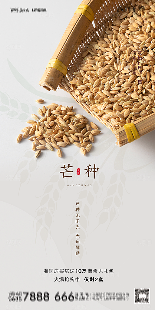地产芒种节气简约大气海报