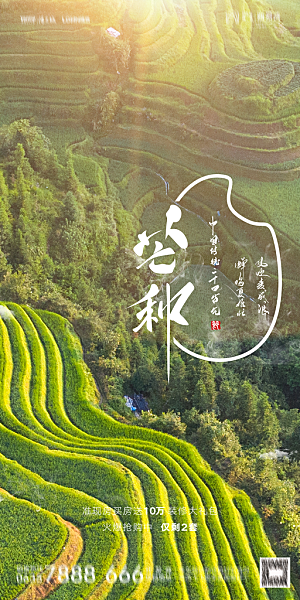 地产芒种节气简约大气海报