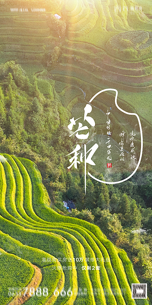 地产芒种节气简约大气海报